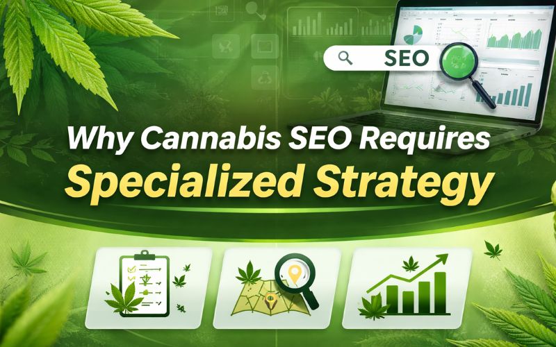 Why Cannabis SEO Requires a Specialized Strategy