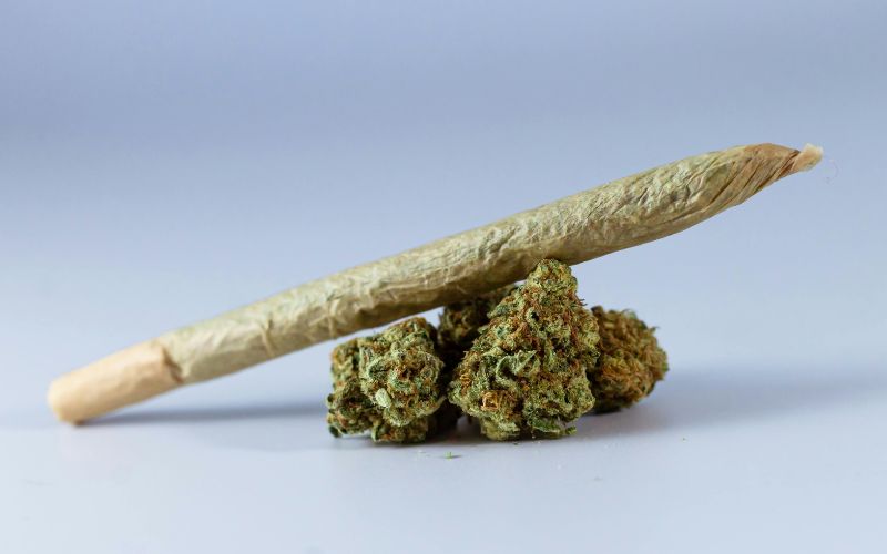 Why Your Weed Delivery Site Is Not Getting Orders